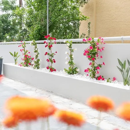 Apartment Hyacinthus Executive 5 Min To