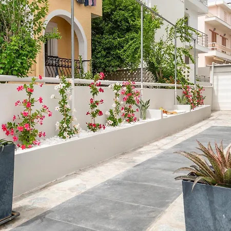 Hyacinthus Executive 5 Min To